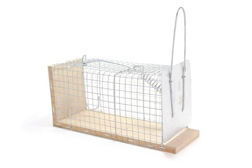 TRAMPA RATON JAULA NAC