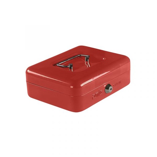 [29-7] CAJA DINERO 30CMS COMB AMIG